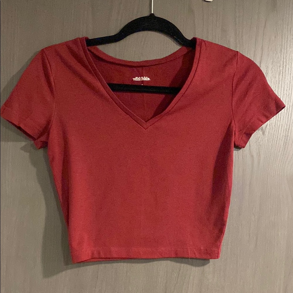Wild Fable Red V-Neck Crop Top
